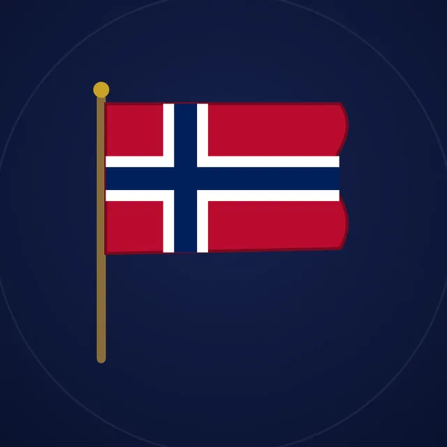 Giant Norway flag 5x8 ft (watch party size)